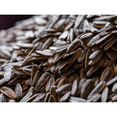 50kg Bag of Sunflower Seeds