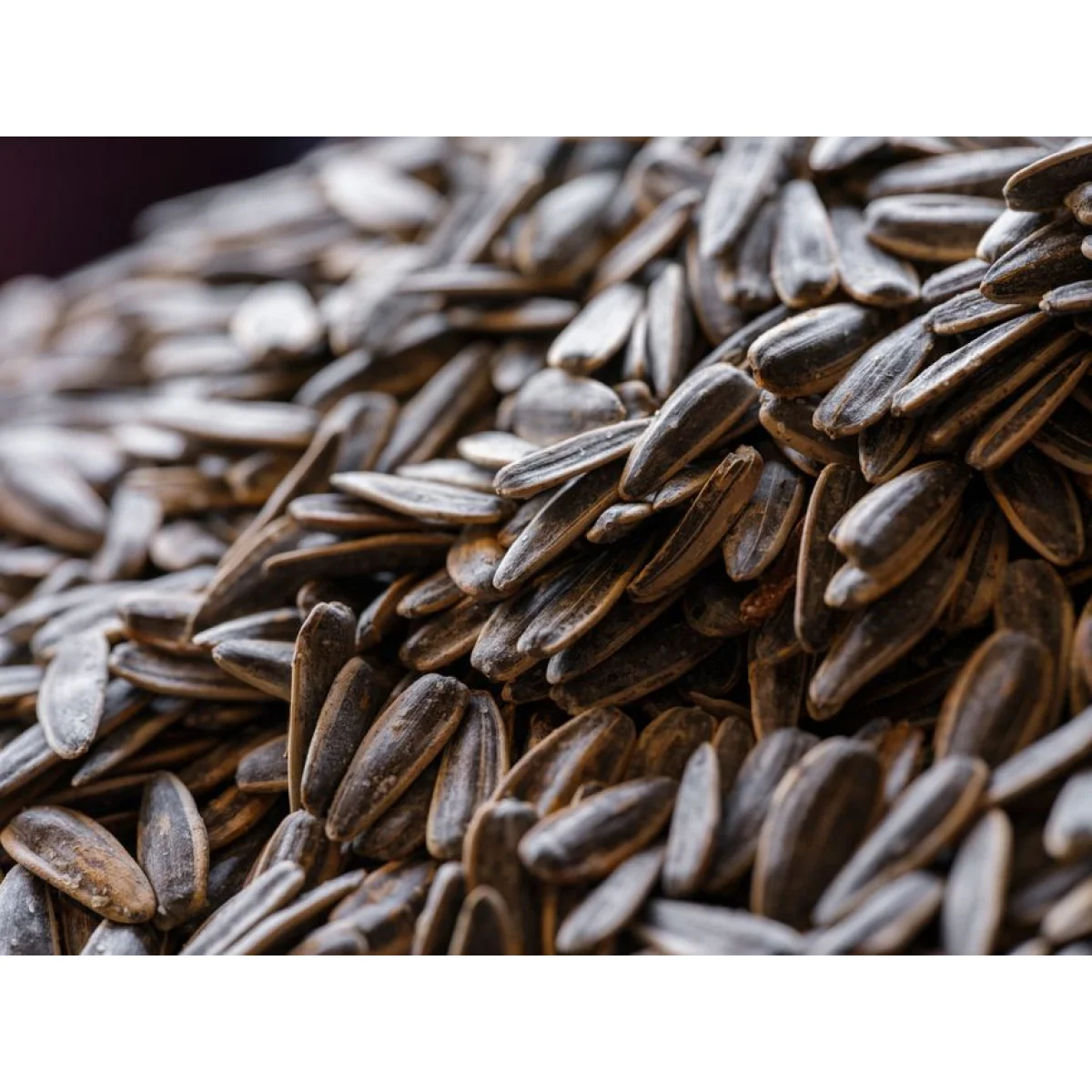 50kg Bag of Sunflower Seeds