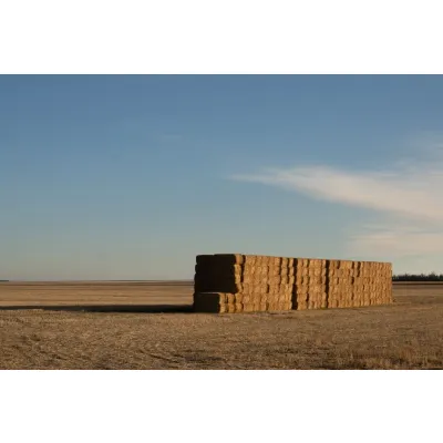 Bale of Teff Hay